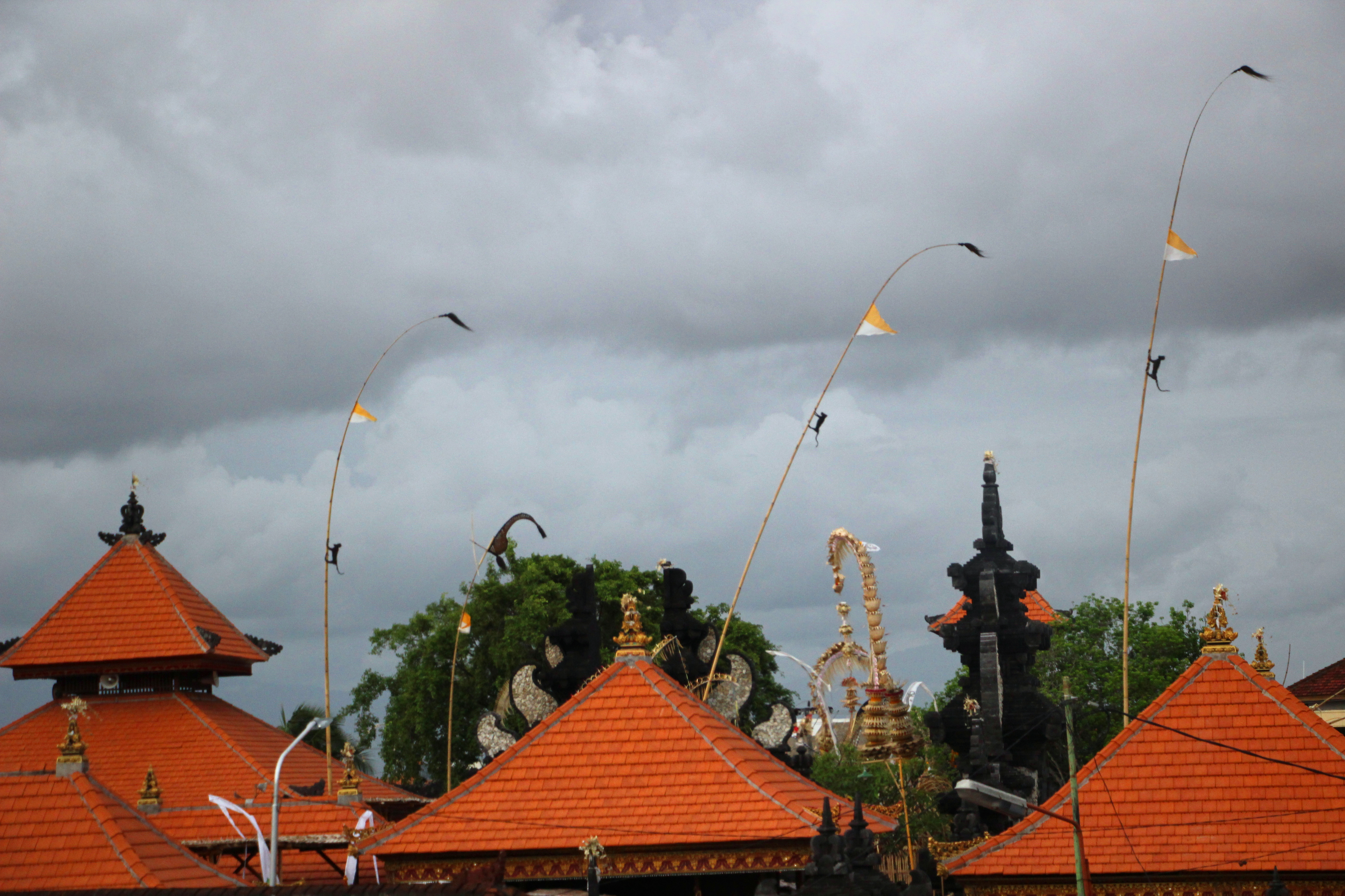 天堂之岛巴厘岛，半自由行攻略和必去景点