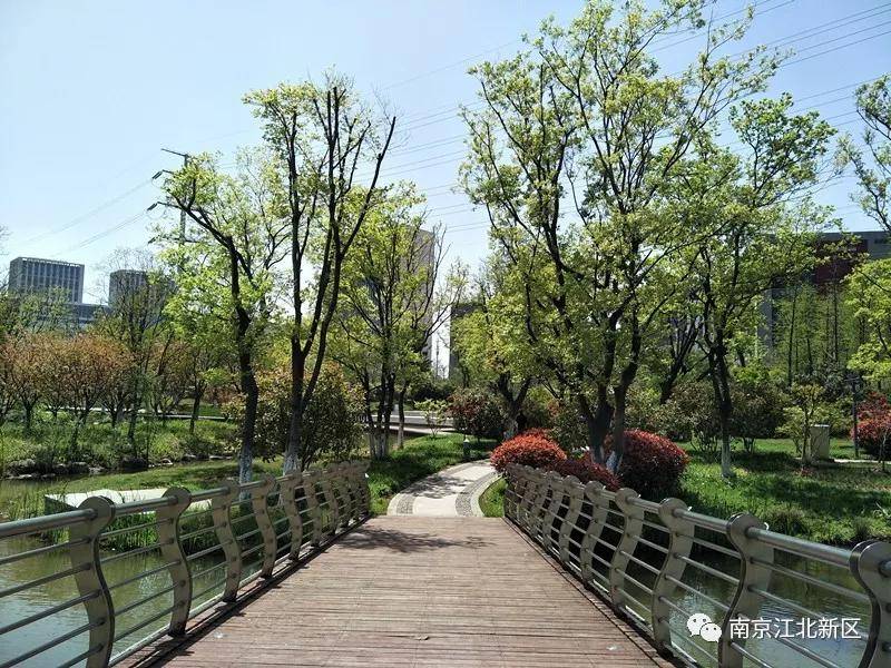 新区高质量发展的意见建议,促进国家级新区高质量发展