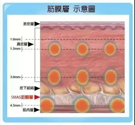 陶虹和谁搞微商,陶虹生图惊艳刷屏