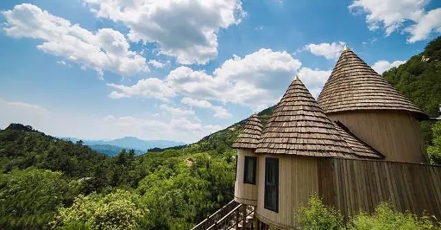 真正的森林树屋,这些树屋满足你对森林的所有幻想