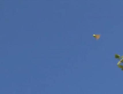 可滑翔也可以垂直起飞的无人机,神奇还能起飞的无人机