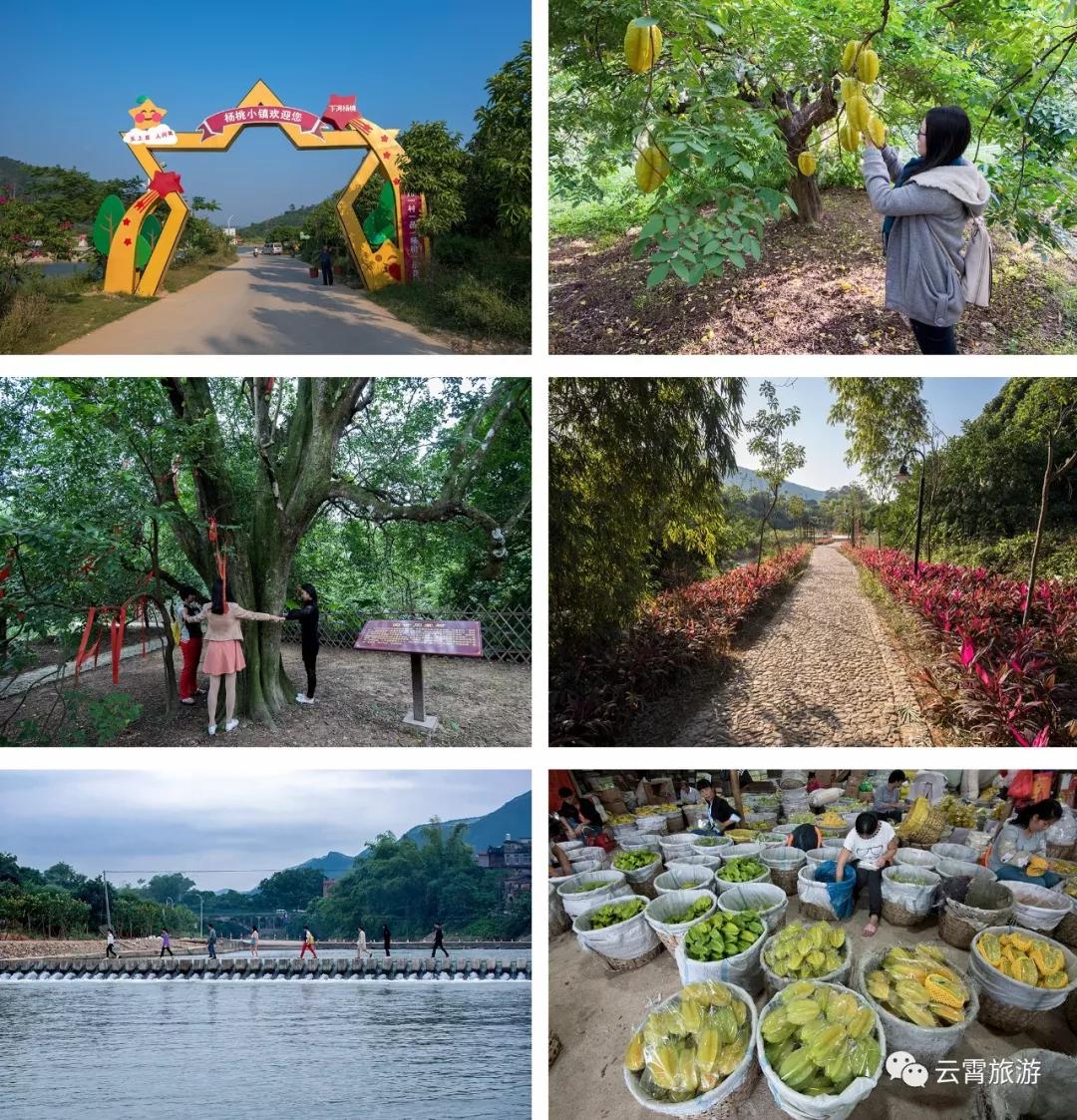 云霄两日一夜游攻略,双节自驾游免费景点