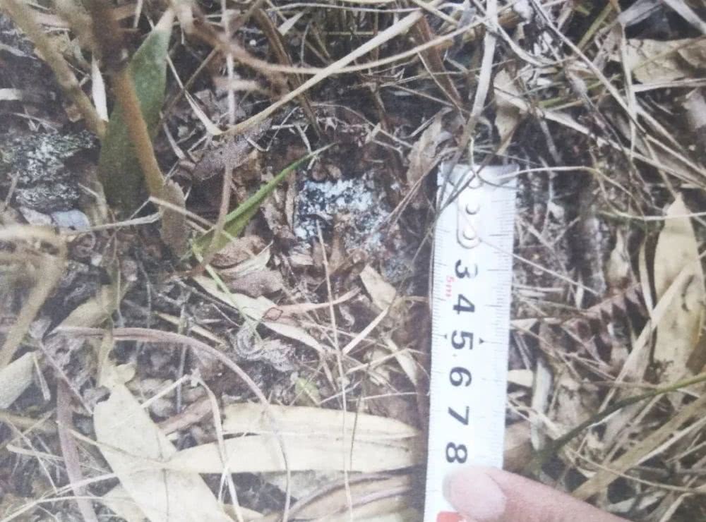 森林火灾60岁老汉判刑,引发森林火灾判什么罪