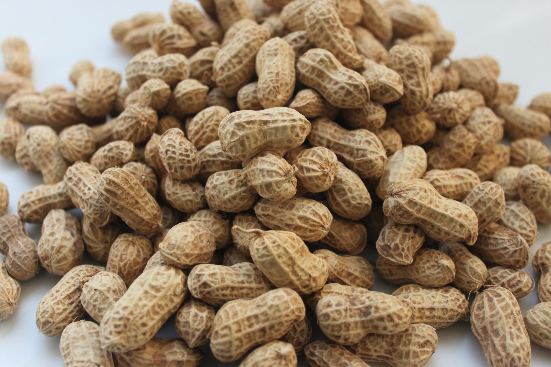 孕妇吃哪些坚果最好你知道吗,孕妇应该多吃什么坚果好