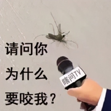 蚊虫叮咬怎么止痒最快最有效办法,夏天蚊虫叮咬止痒最有效的方法