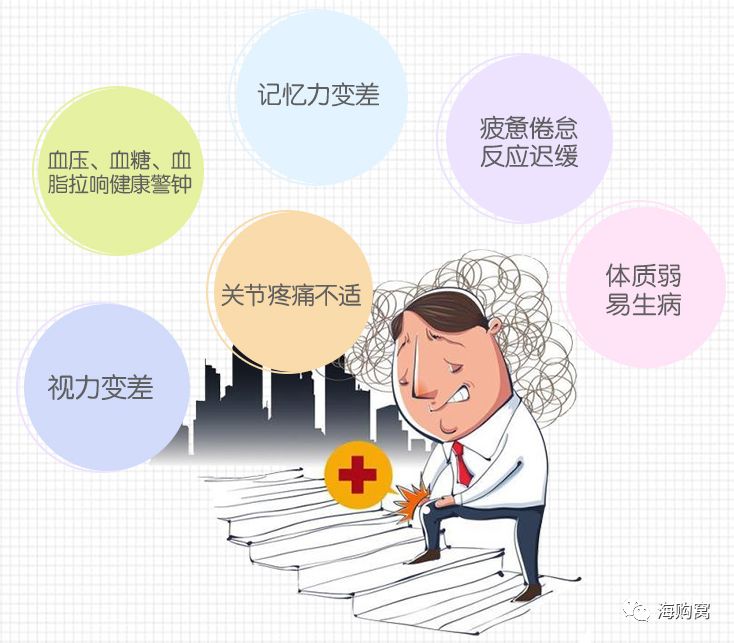 伟博天然深海鱼油礼盒,好物便宜鱼油