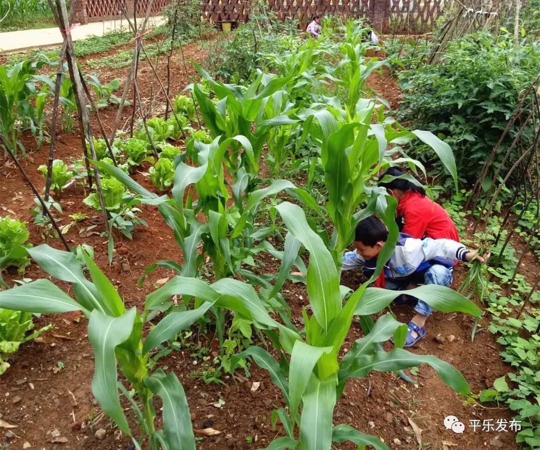 桂林平乐二塘矮山小学,广西桂林平乐二塘高桥小学