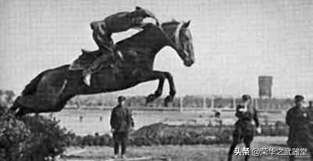 苏军对战德军斯大林格勒战役,苏军反攻斯大林格勒