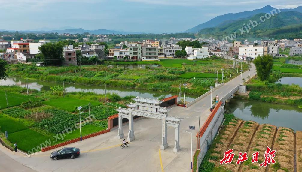 年收入翻了8倍多！肇庆这条村是怎么做到的？