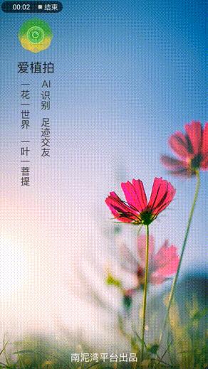 颜色不同价格不一样,粉色玫瑰和红色玫瑰的价格区别