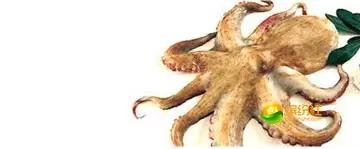 舟山海鲜攻略2天1晚住宿自由行,舟山最好的海鲜