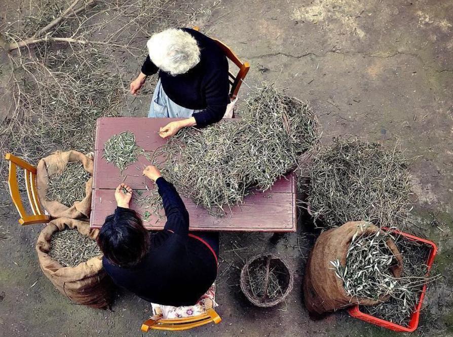 korres的三款面膜分享,korres酸奶面膜平价