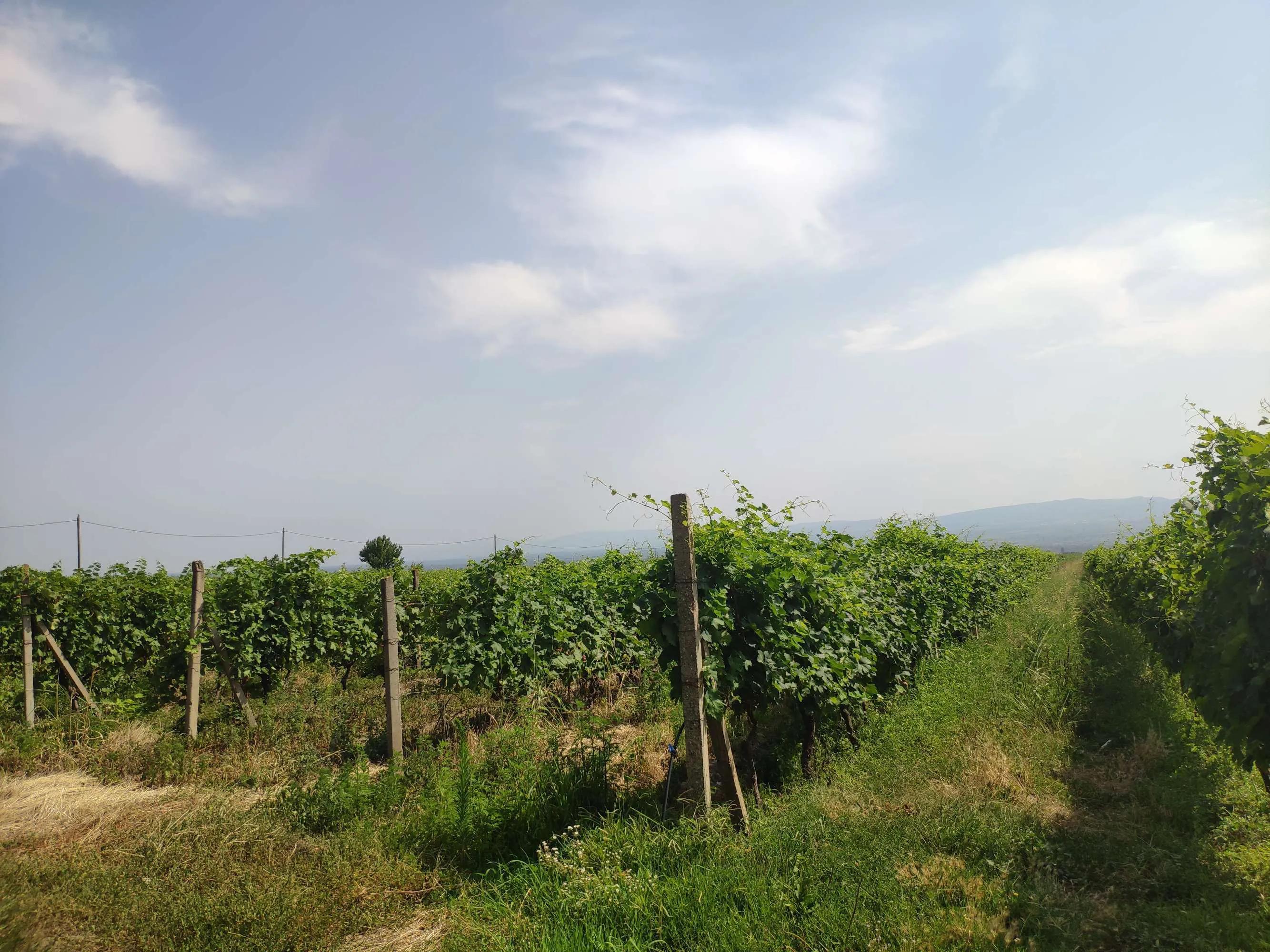 自驾格鲁吉亚阿塞拜疆,自驾入境格鲁吉亚