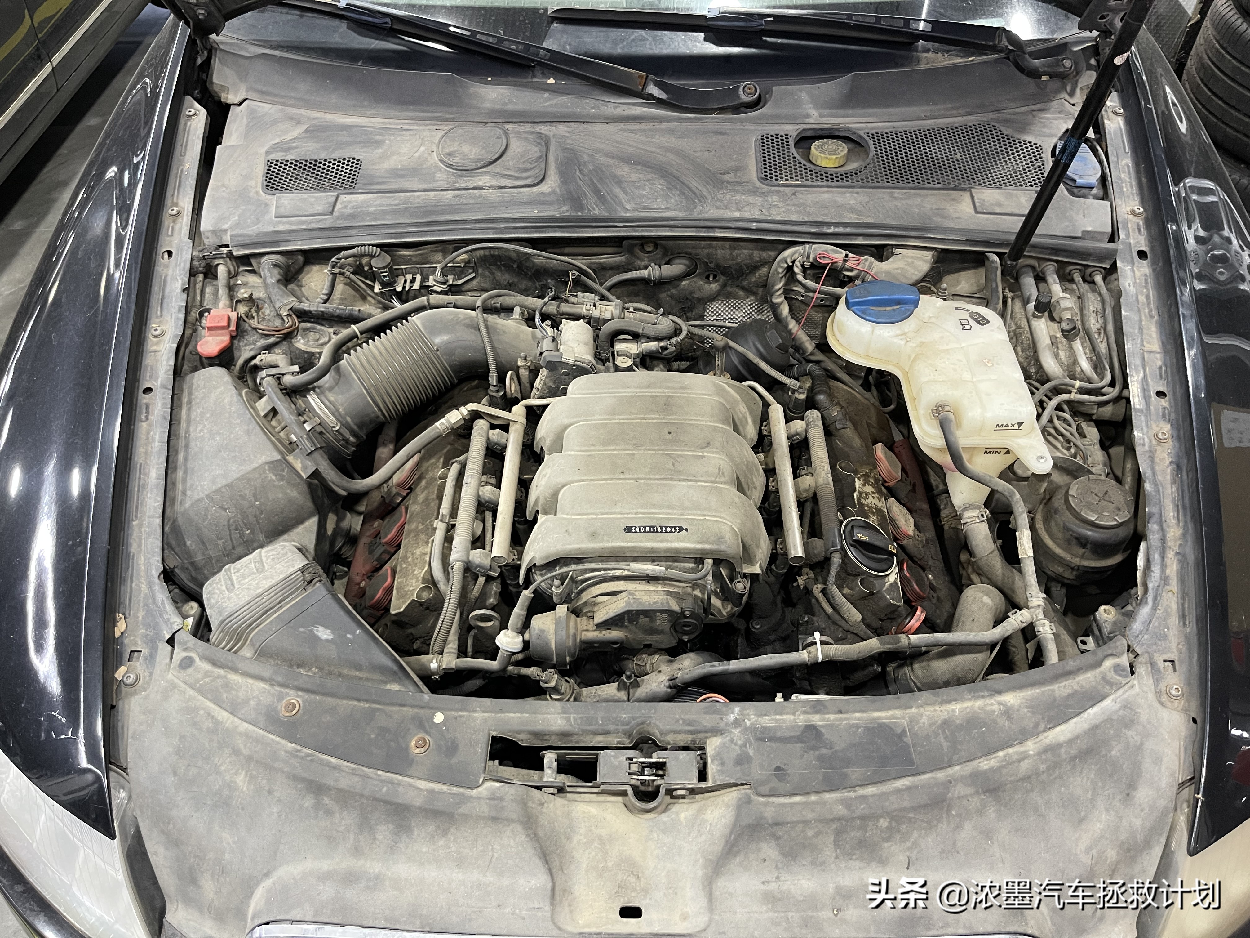 专业维修整备老款捷豹xj系列,老款捷豹xj整备视频