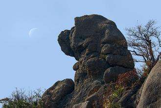 黄山风景区天狗望月,黄山奇景天狗望月