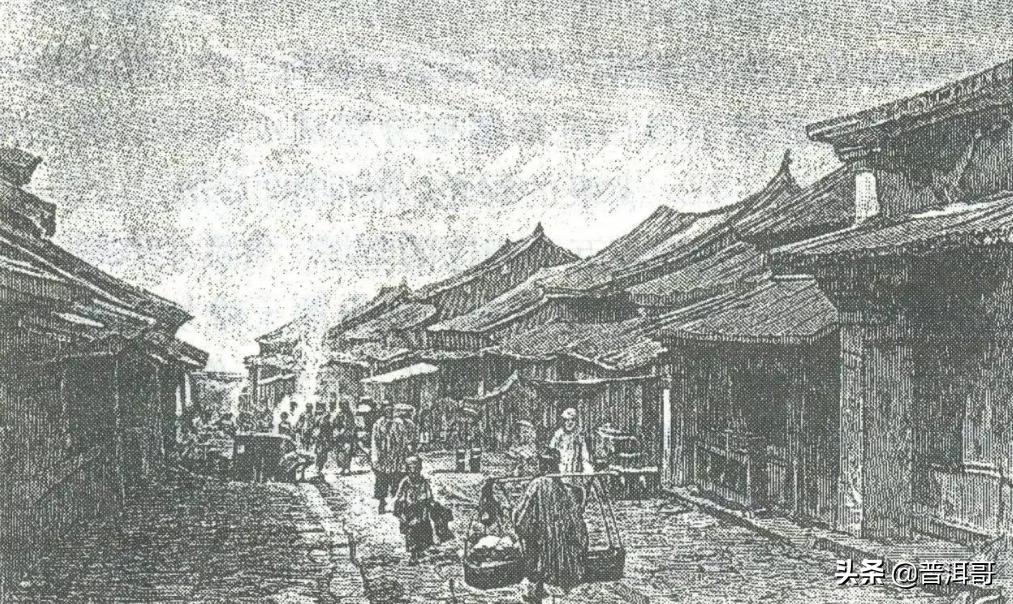 你想了解的普洱茶知识都在这里了,普洱茶的来龙去脉