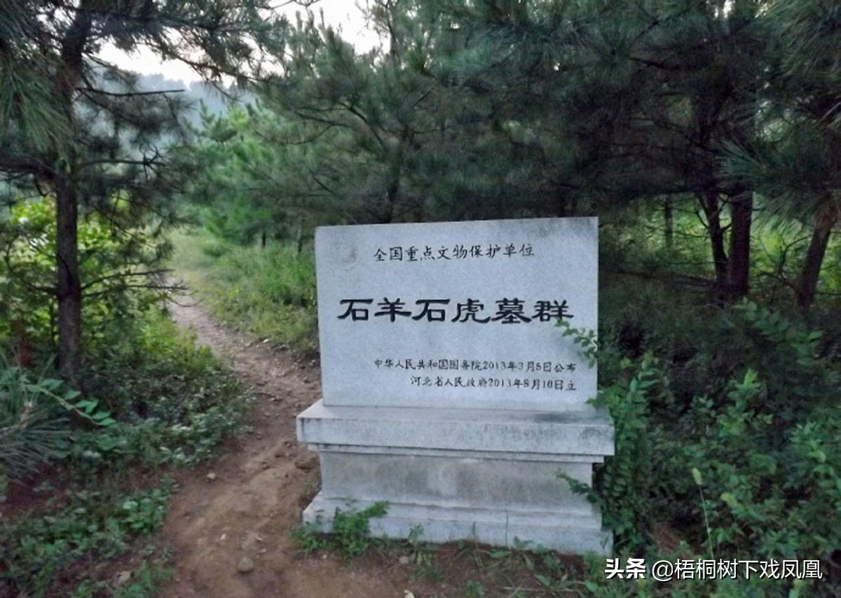 一个盗墓者的自述解说,一位盗墓者的自述实体书