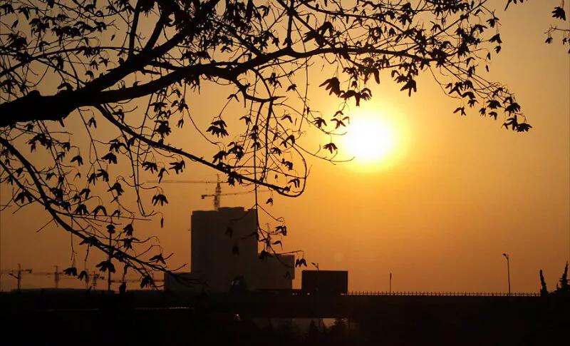 手拍世界摄影网,手拍世界完整版视频