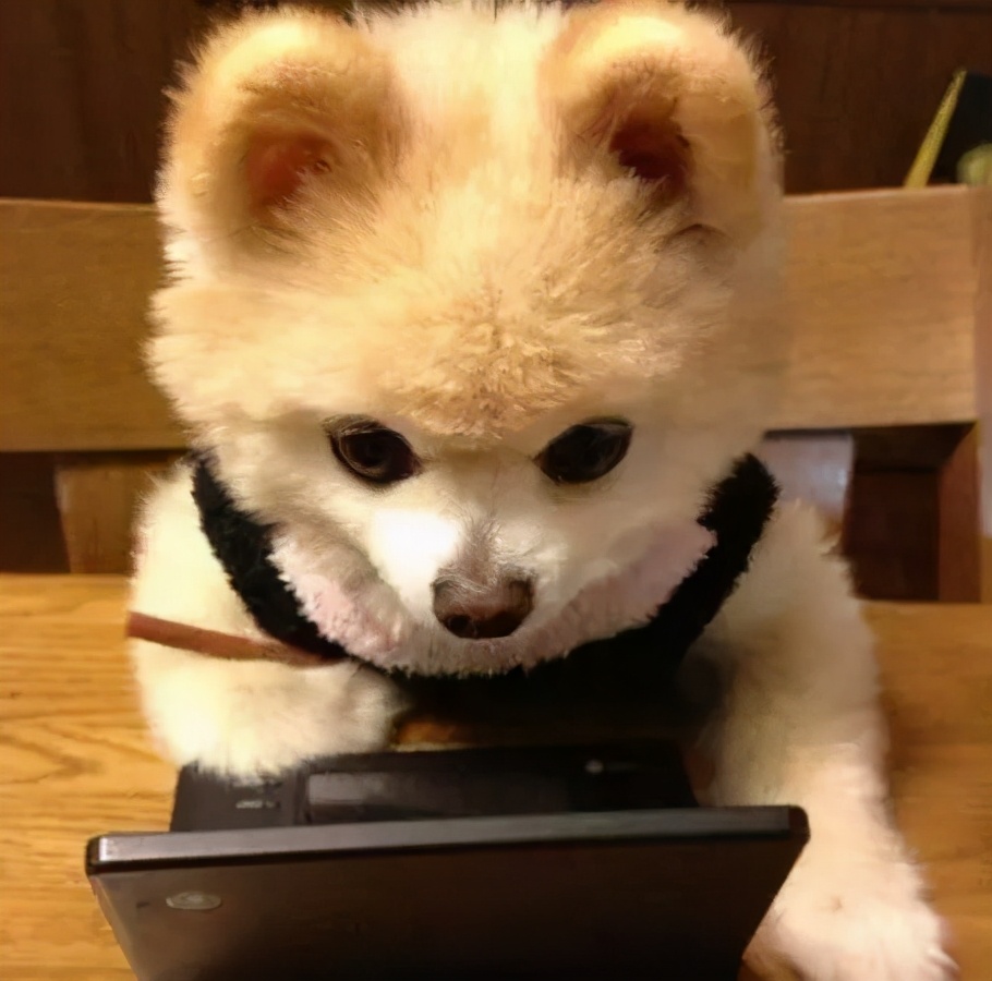 论文如何精简字数,sci论文字数规定多少