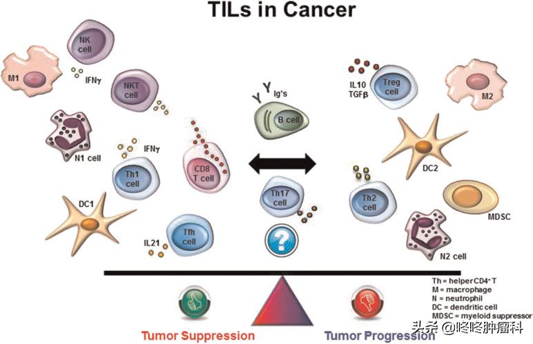 免疫细胞疗法可以治疗哪些疾病,免疫细胞治疗才是最有效的