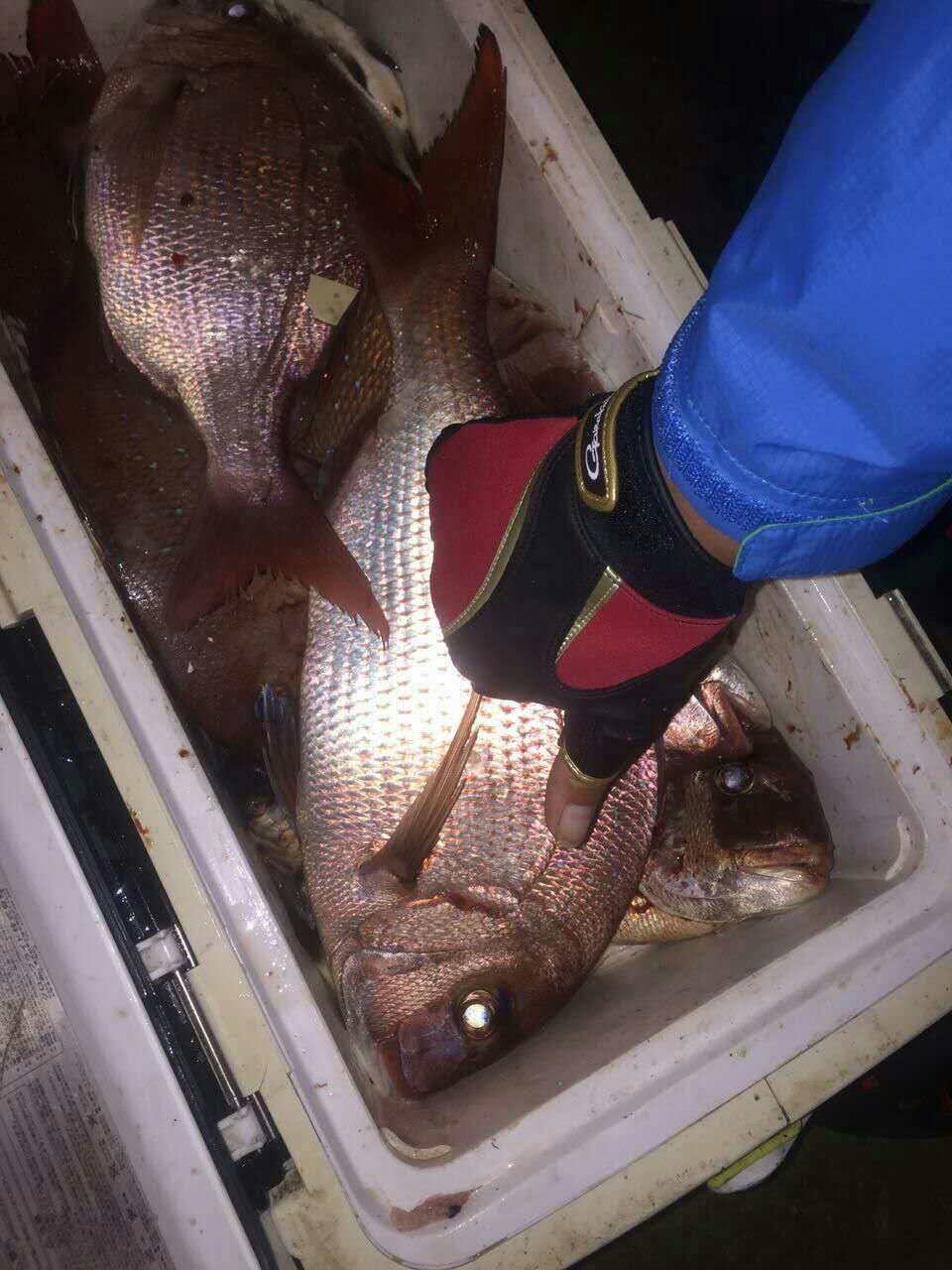 海钓是一种乐趣,体验不一样的海钓乐趣