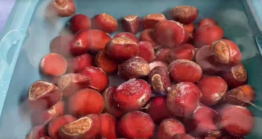 板栗怎么去壳最简单方法视频,才知道剥栗子有这样的方法