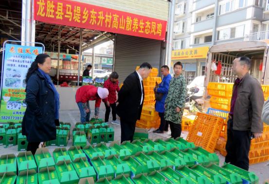 龙胜凤鸡竟“飞”入海鲜市场,“高规格”背后大有文章