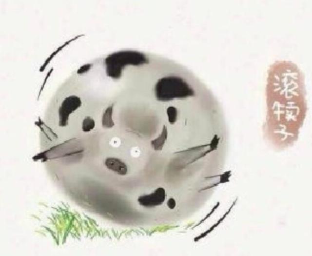 东北四大犊子是啥,东北四大神兽叫什么