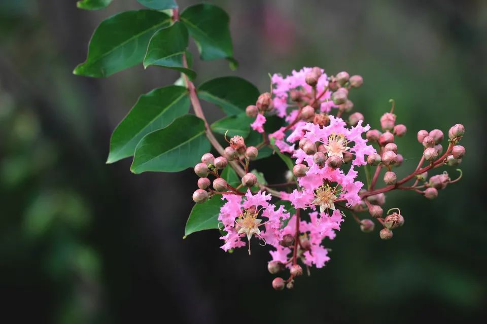 浜鸿秺鑰佽秺娌ф,鍥涘崄骞寸传钖囨爲