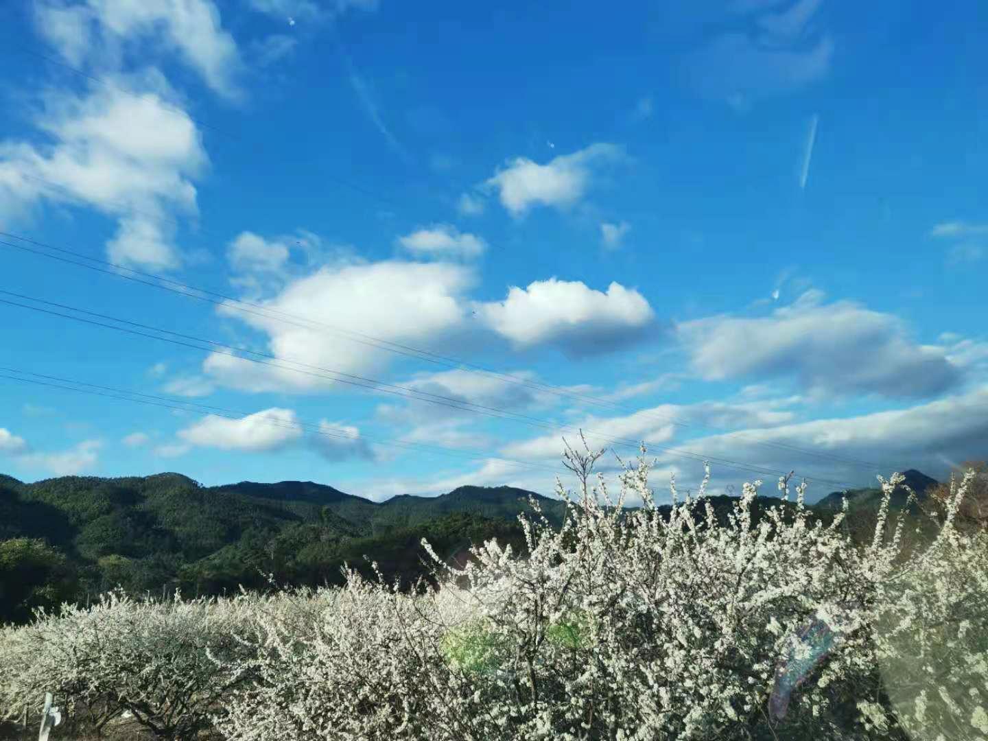 蜗牛里的春天视频素材,蜗牛的春天免费观看