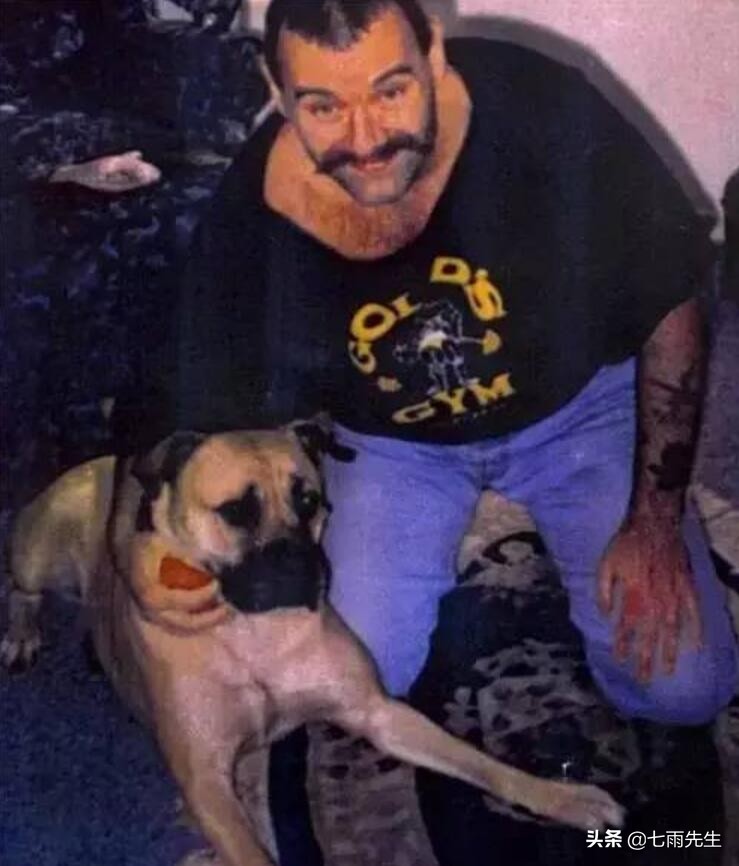 为什么弗雷尔卓德选择布隆,布隆弗雷尔卓德之心背景故事