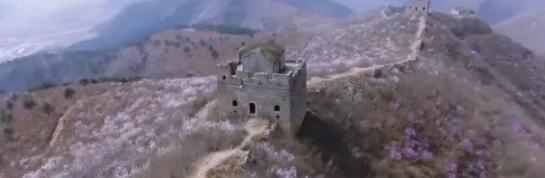 又是一年春光好完整版,又是一年春光好文明旅游