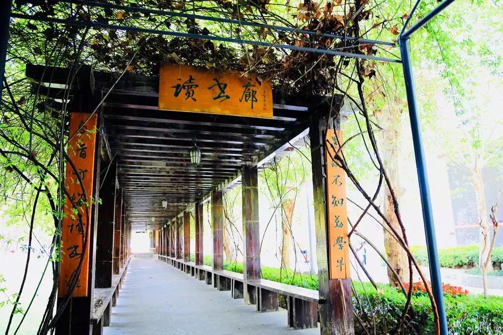 师大一中中考率是多少,师大一中2023重点率