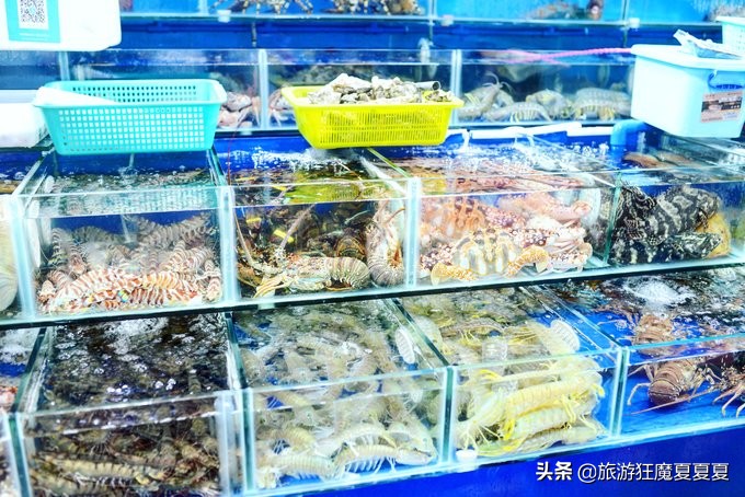 在三亚感受亚龙湾的惬意,三亚亚龙湾热带雨林美景