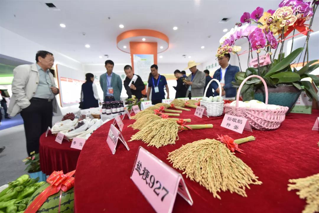 盘锦新发地乡博会,盘锦国际博览会