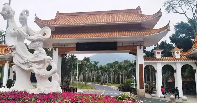 美翻了！过年到香港看烟花，23888枚闪亮夜空！还有……