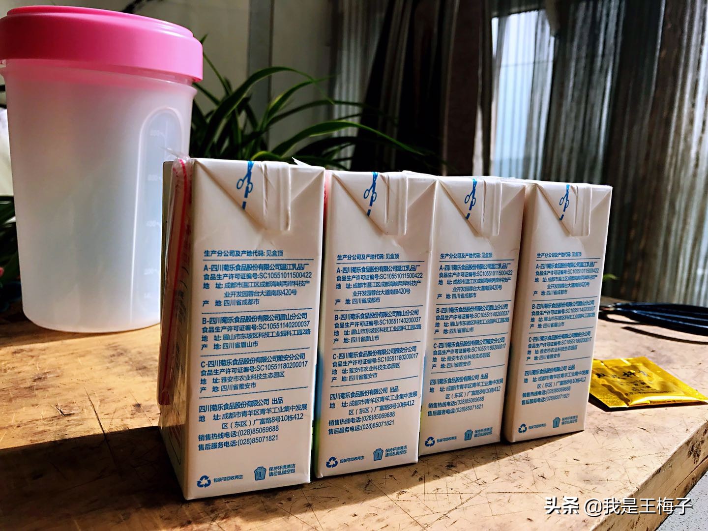 自己做酸奶不凝固怎么办,为什么自制酸奶不拉丝