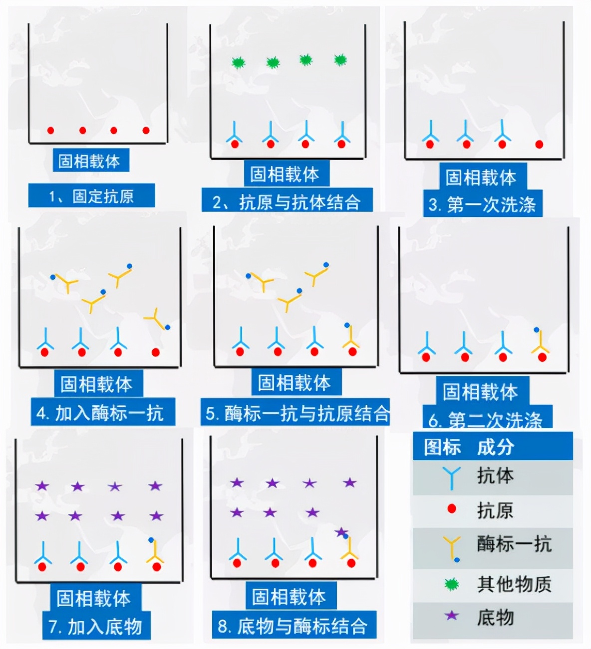 陈家锃：非洲猪瘟抗体“假阳性”的解决方案