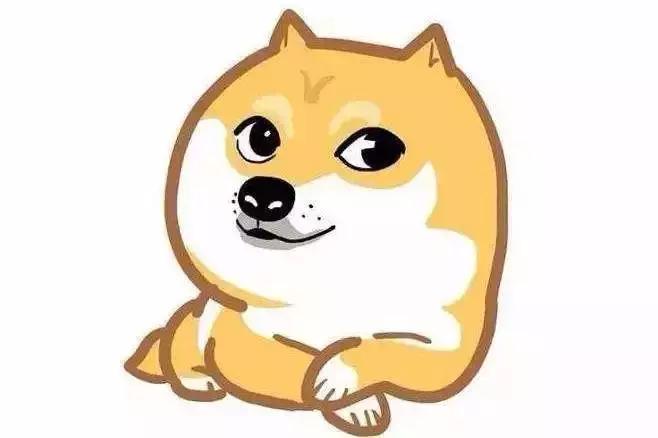 拿什么拯救你我的发际线笑死我了,拿什么拯救你我的发际线文案