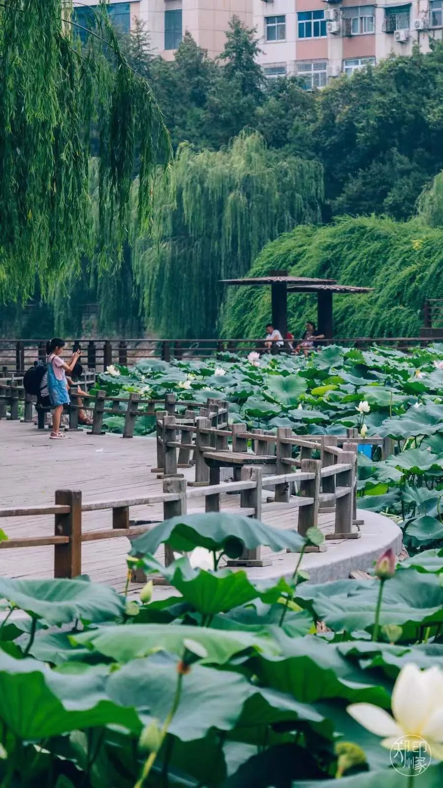 郑州免费运动场,郑州公共健身器材公园