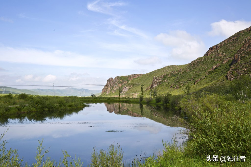 丰宁野花,丰宁坝上草原花海