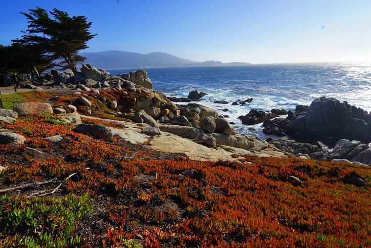 美国德州西部自由行,美国西海岸可以自由航行么