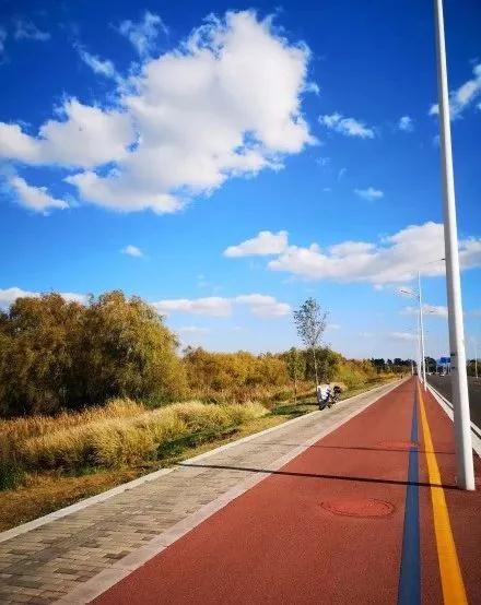 蓝花楹昆明网红打卡地在哪里,昆明周边湿地公园网红打卡地