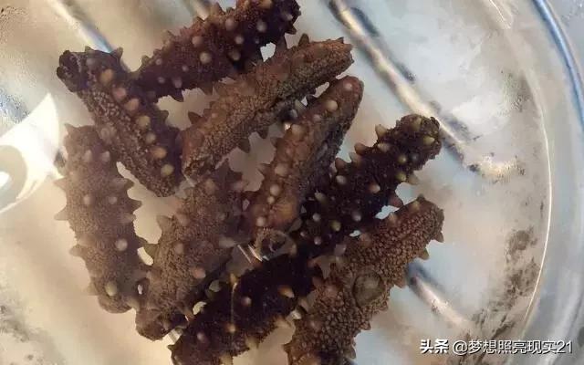 发海参时尾部要剪开吗,发海参有什么好的办法吗