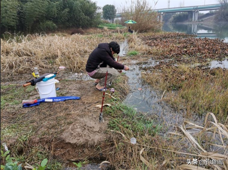 钓到大鲫鱼并非偶然,野钓钓到大鱼的几率大吗