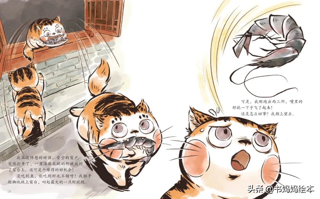 故宫御猫夜游记原创,北京故宫御猫夜游记