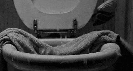 蟑螂的十大真相,最可怕的蟑螂是什么蟑螂