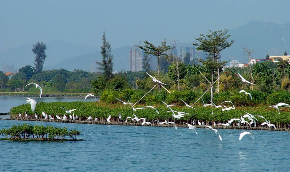 去三亚过冬住公寓还是自己租房好,去三亚养老公寓带什么