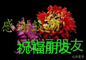 不用打字可以聊天的图片,不用打字的聊天动图