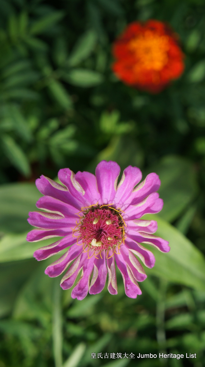 第4082回：法国舰队灭顶之灾，炸沉东方号战列舰